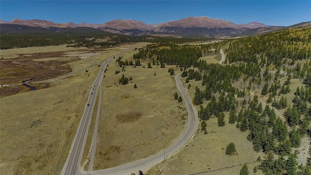 45 Platte River Dr, Fairplay, CO 80440