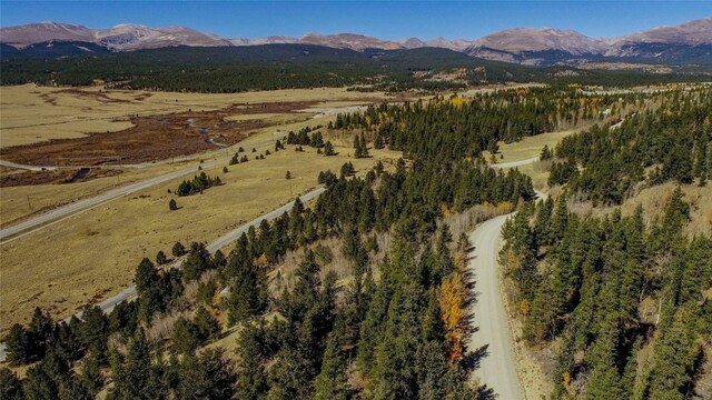 45 Platte River Dr, Fairplay, CO 80440