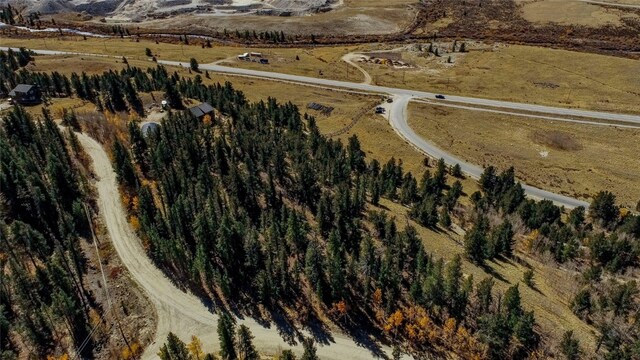 45 Platte River Dr, Fairplay, CO 80440