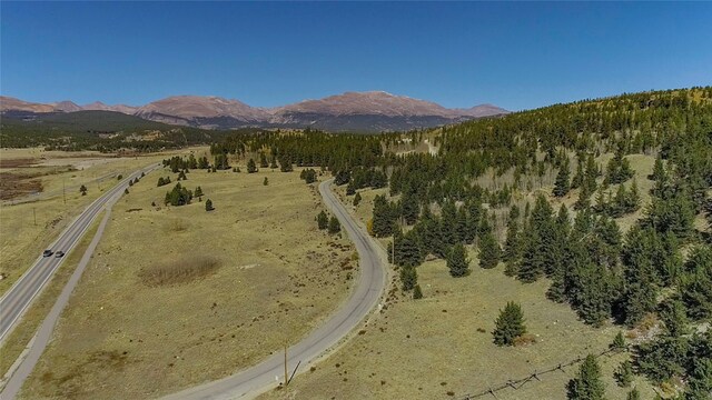 45 Platte River Dr, Fairplay, CO 80440