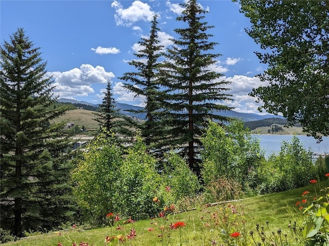 370 E Ln Bonte St Unit A, Dillon, CO 80435 - property view of mountains