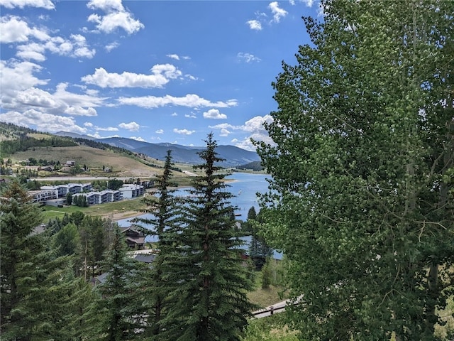 370 E Ln Bonte St Unit A, Dillon, CO 80435 - photo 31