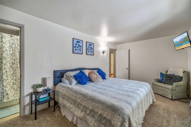 370 E Ln Bonte St Unit A, Dillon, CO 80435 - view of carpeted bedroom
