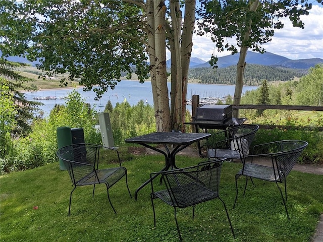 370 E Ln Bonte St Unit A, Dillon, CO 80435 - exterior space with a water and mountain view