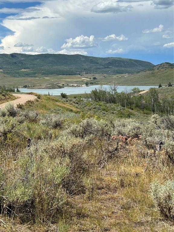 31570 Navajo Trl, Oak Creek, CO 80467