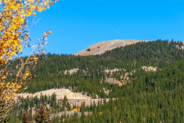 28 No Name Ln, Alma, CO 80420 - view of mountain background featuring a forest