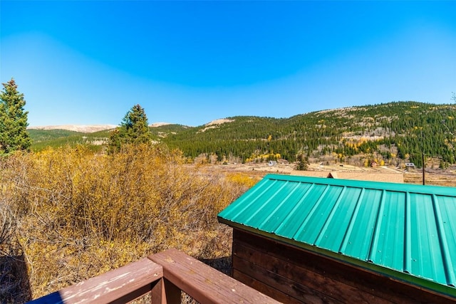 28 No Name Ln, Alma, CO 80420 - view of yard with a mountain view