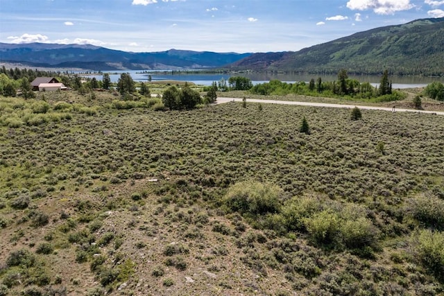 400 Lang St, Leadville, CO 81251 - photo 11