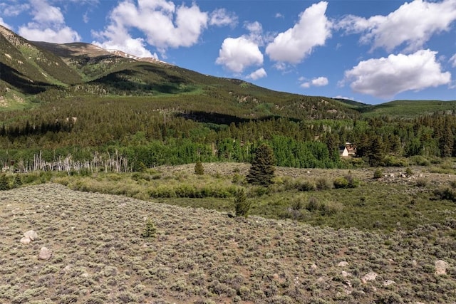400 Lang St, Leadville, CO 81251 - photo 17