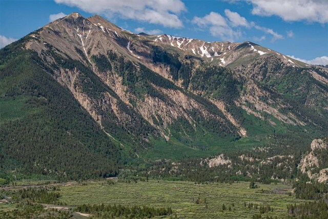 400 Lang St, Leadville, CO 81251 - photo 20