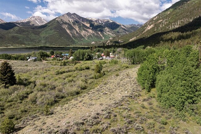 400 Lang St, Leadville, CO 81251 - photo 9