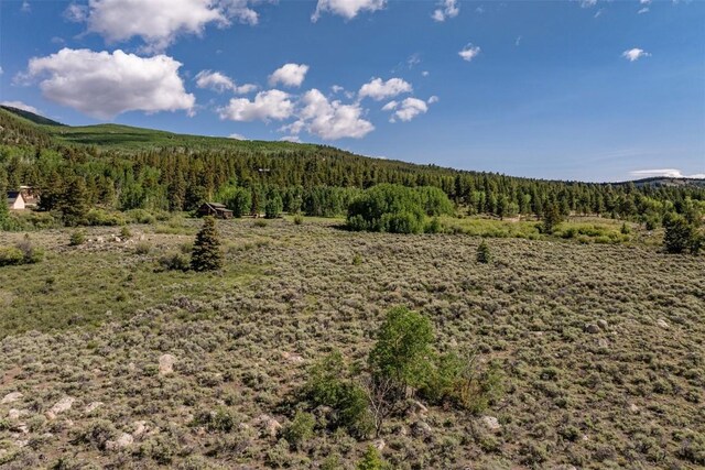 400 Lang St, Leadville, CO 81251 - photo 16
