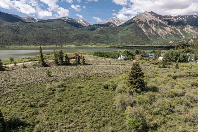 400 Lang St, Leadville, CO 81251 - photo 10