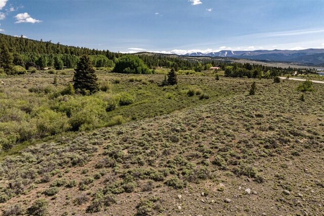 400 Lang St, Leadville, CO 81251 - photo 14