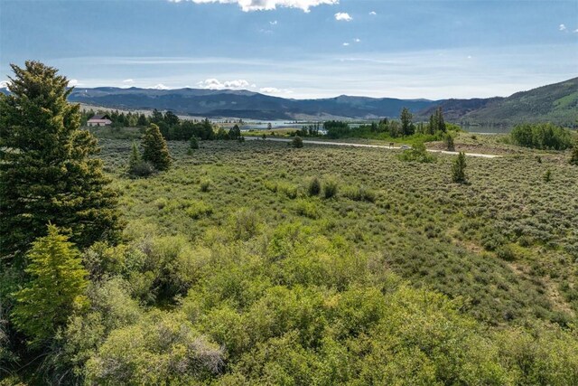 400 Lang St, Leadville, CO 81251 - photo 15