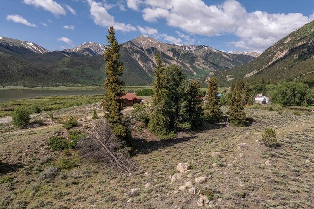 400 Lang St, Leadville, CO 81251 - photo 18