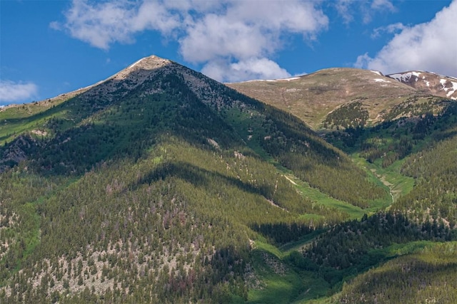400 Lang St, Leadville, CO 81251 - photo 19