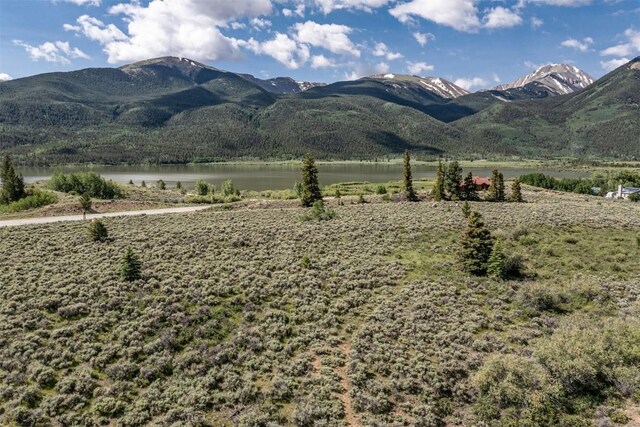 400 Lang St, Leadville, CO 81251 - photo 12