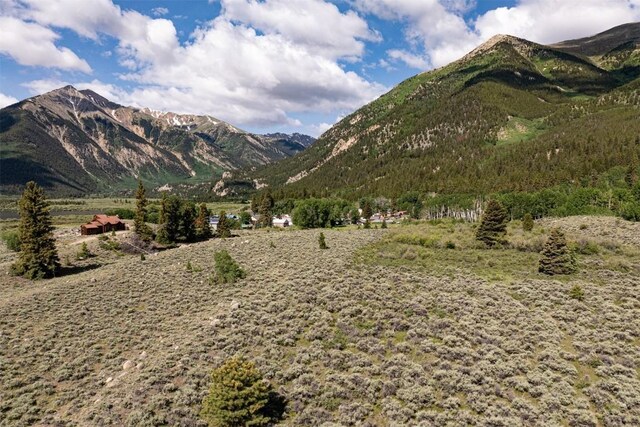 400 Lang St, Leadville, CO 81251 - photo 13