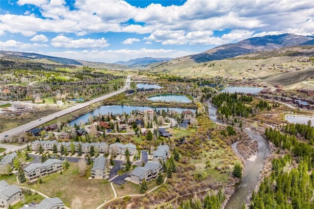 133 Creek Ln Unit 133, Silverthorne, CO 80498 - photo 49