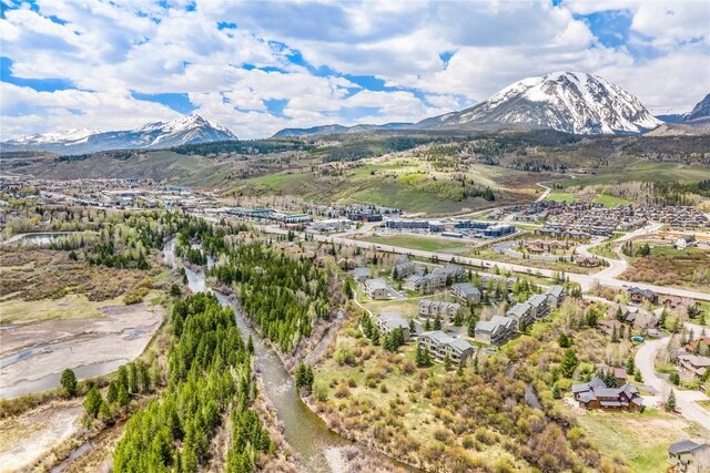 133 Creek Ln Unit 133, Silverthorne, CO 80498 - photo 45