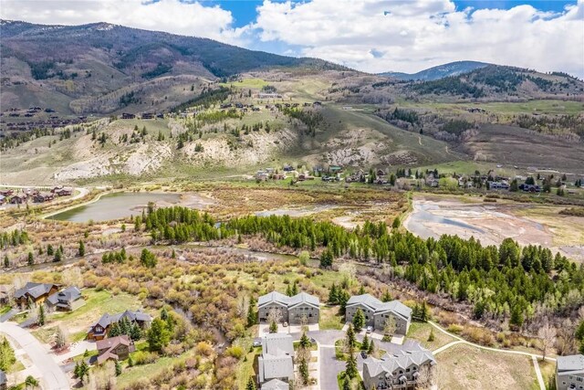 133 Creek Ln Unit 133, Silverthorne, CO 80498 - photo 47