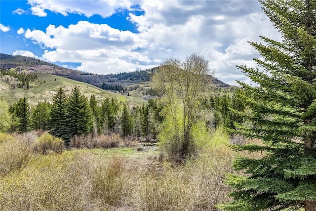 133 Creek Ln Unit 133, Silverthorne, CO 80498 - photo 16