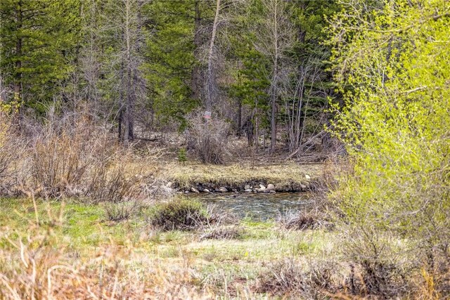 133 Creek Ln Unit 133, Silverthorne, CO 80498 - photo 39