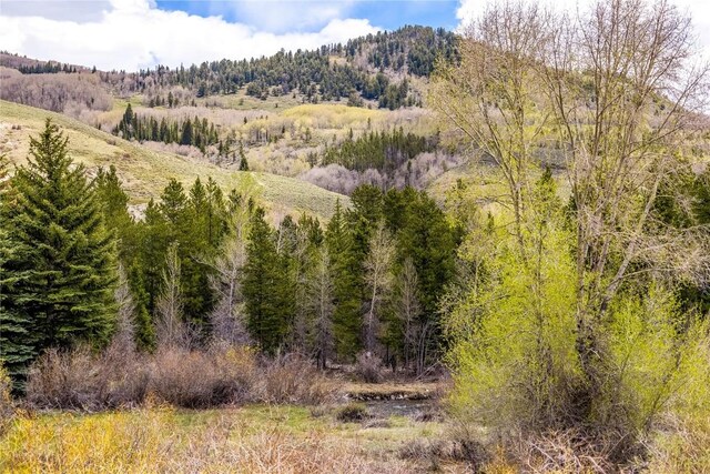 133 Creek Ln Unit 133, Silverthorne, CO 80498 - photo 38