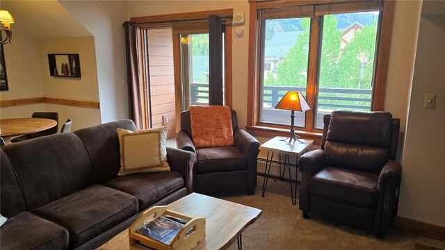 53 Hunki Dori Ct Unit 8905, Keystone, CO 80435 - view of carpeted living room