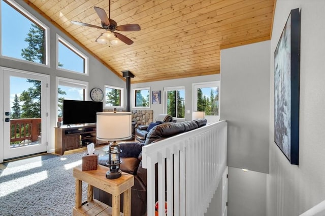 227 Valley Of The Sun Dr, Fairplay, CO 80440 - photo 11
