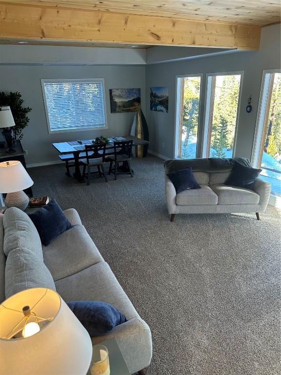 carpeted living area featuring baseboards