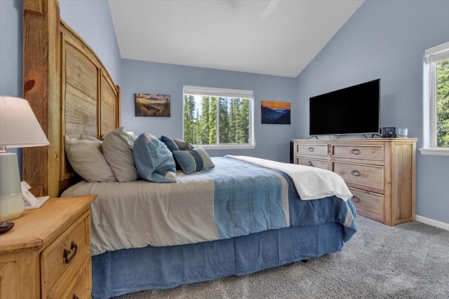 227 Valley Of The Sun Dr, Fairplay, CO 80440 - photo 13