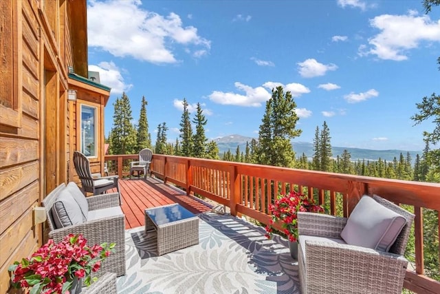 227 Valley Of The Sun Dr, Fairplay, CO 80440 - photo 22