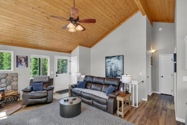 227 Valley Of The Sun Dr, Fairplay, CO 80440 - photo 10