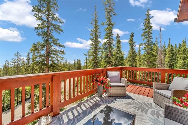 227 Valley Of The Sun Dr, Fairplay, CO 80440 - photo 21