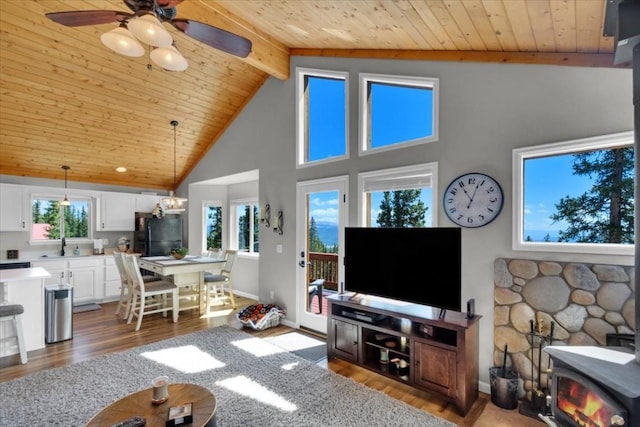 227 Valley Of The Sun Dr, Fairplay, CO 80440 - photo 4