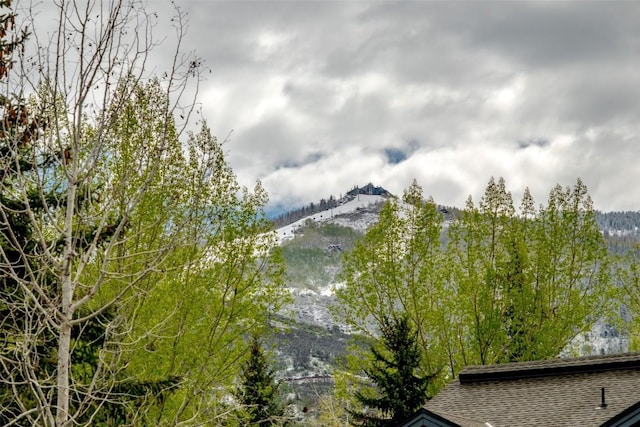 1399 Morgan Ct Unit 704, Steamboat Springs, CO 80487 - mountain view