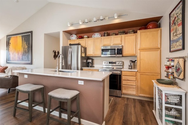 1399 Morgan Ct Unit 704, Steamboat Springs, CO 80487 - kitchen with appliances with stainless steel finishes, a sink, lofted ceiling, dark wood-style floors, and light countertops