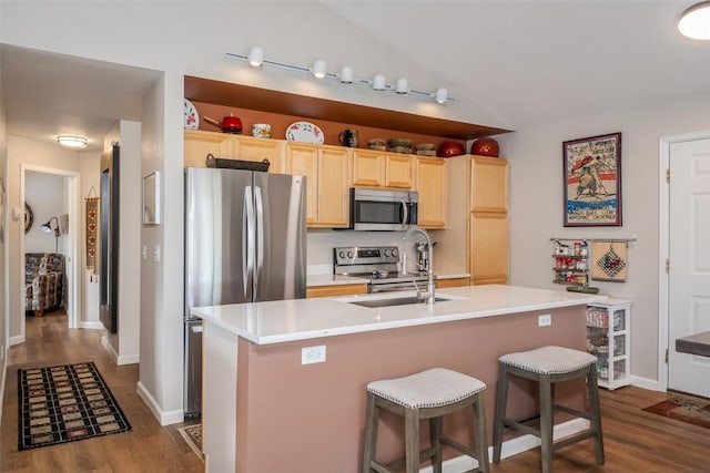 1399 Morgan Ct Unit 704, Steamboat Springs, CO 80487 - kitchen with stainless steel appliances, light brown cabinetry, dark wood-style floors, a sink, and lofted ceiling