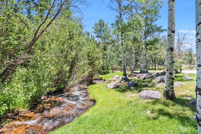 1920 Ski Time Square Dr Unit 307, Steamboat Springs, CO 80487 - photo 40