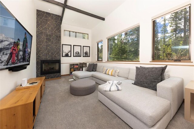 111 Burro Ln, Breckenridge, CO 80424 - photo 19