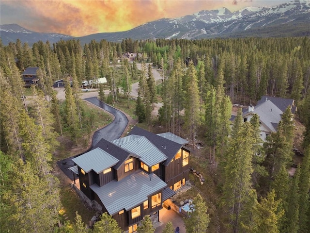 111 Burro Ln, Breckenridge, CO 80424 - photo 37