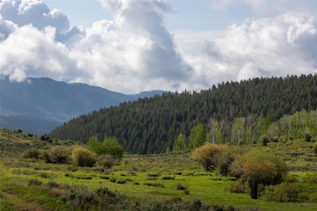 8034 State Highway 131, Toponas, CO 80479