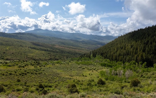 8034 State Highway 131, Toponas, CO 80479