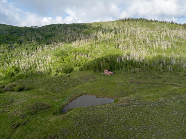 8034 State Highway 131, Toponas, CO 80479
