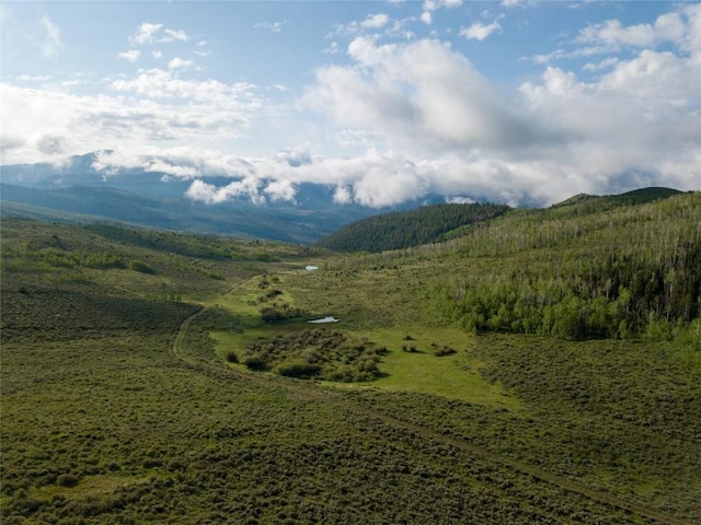 8034 State Highway 131, Toponas, CO 80479