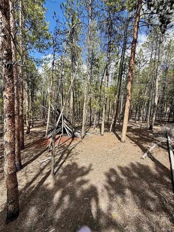 1127 Sequoia Dr, Twin Lakes, CO 80461
