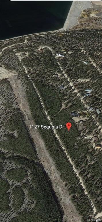 1127 Sequoia Dr, Twin Lakes, CO 80461