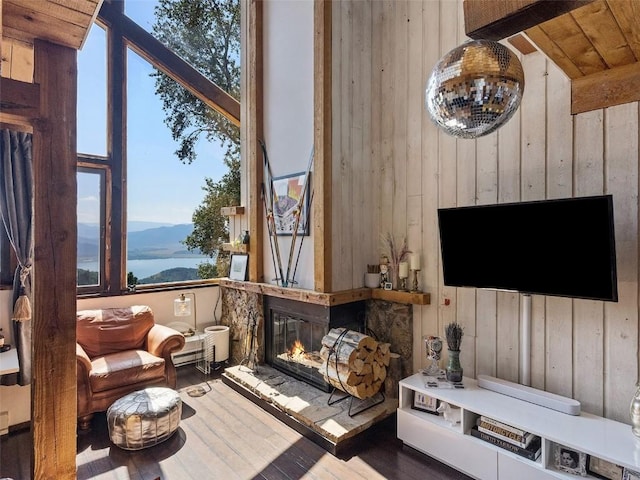 living area featuring wood walls, wood ceiling, wood finished floors, and a glass covered fireplace